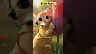 Irme and the Flower Podcast 🌸 &mdash; A Cat&rsquo;s Peaceful Chat #shorts #viral #cat