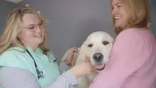 Whisker Wise Lifespan Pet Planner Product Video