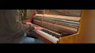 Fly - Ludovico Einaudi - Piano Performance