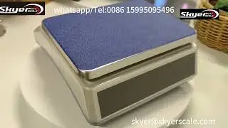 30kg d11 series electronic weighing platform scale