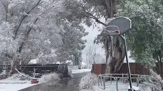 #Nevada en banning California 