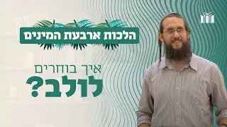 הלכות ארבעת המינים: איך לבחור לולב? | הרב אורי הכהן