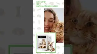 #jirpet  Jirpet F1 Pet Dryer Cabin has won the Gold Winner of Muse Design Awards 2024 #pets