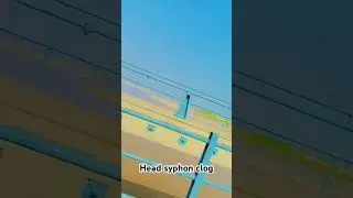 Head syphon vlog