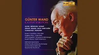 Oboe Concerto in C Major, Hob.VIIg:C1: I. Allegro spirituoso