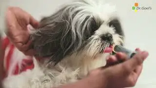 How to give Dr. Goel's Homeopathy Medicine to your pet