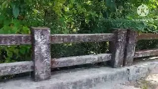 Hello Lwgwpwr nwi ang 'Raimona National park ao lama ser-ser video kalamdla dang lwgwpwr 👍🙏 sub hor?