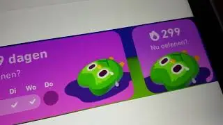 all my duolingo screenshots