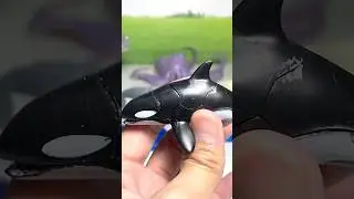 Killer Whale Toy is For Toddlers | Kids Toys | Dolphin and Whale and Porpoise and Shark is for Kids