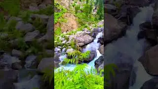 Hill Top Waterfall In Swat Valley | #shorts #pakistan