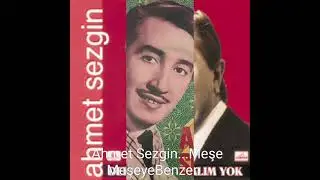 Ahmet Sezgin...Meşe Meşeye Benzer...