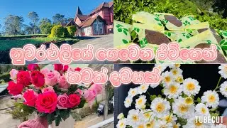 මගේ අලුත් බිස්නස් එක ඔයාලත් support එකක් දෙන්න 💚🍃 0761222315