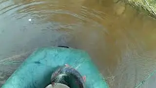 We catch live bait...set tip-ups...and check the net.