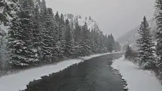 1 hour of Snowy River Ambience Music with Soothing Nature Sounds ❄️ Pine Trees and Cozzy Winter