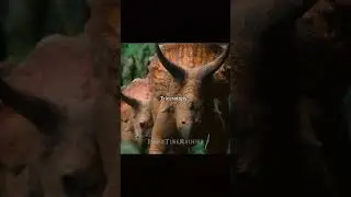 The T-Rex doesn&rsquo;t always win&hellip; #trex #ankylosaurus #triceratops #sauropod