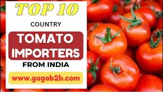 TOP 10 Tomato Importers from India #importexporttrade  #import #export #gagab2b.com