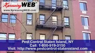 Pest Control 1-800-919-3150 | Staten Island, NY | pestcontrol-statenisland.com