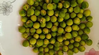 Jungli baingan  (green turkey berry) & potato ki gravy @vajithakumari282