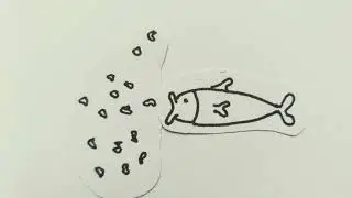 Fluchtgrund Plastik