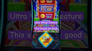 Rare Ultra Wheel#slot#casino#casinoslots#slotmachine#bonus#gamble#gambling#handpay#jackpot#reels#win