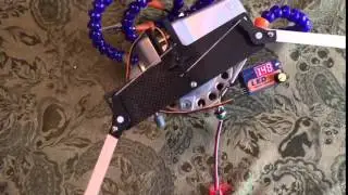 Swing wing mechanism