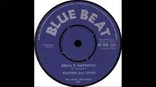 BUSTERS ALL STARS  DEVILS DAFFODIL