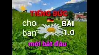 🇩🇪 DEUTSCH lernen, für Anfänger, học tiếng Đức, cho người MỚI BẮT ĐẦU, Lektion 1.0, BÀI 1.0🌍