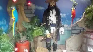 Pirate Weapons