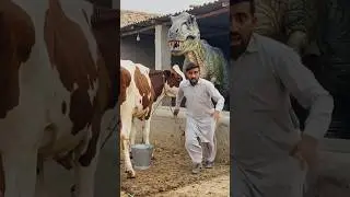 A Village Boy&rsquo;s Worst Nightmare: Dinosaur Appears #explore #shorts