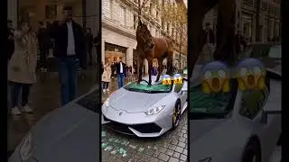 huge brown horse jumps onto a silver sports car, crushing the roof with its hooves. 😱😱😱 #shorts