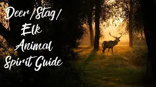 🦌🦌Deer/Stag/Elk spirit guide What does it mean when you see one?🦌🦌