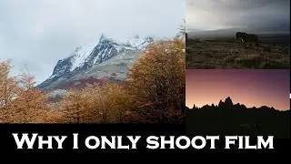 Why I only shoot film #nikon #nikonfe2 #nikonfilm #filmcamera #filmphotography