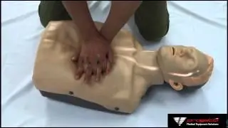 Progetti - New Manikin with bloodstream view