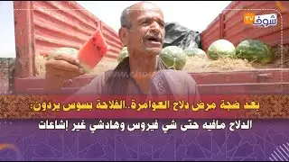 بعد ضجة مرض دلاح العوامرة..الفلاحة بسوس يردون:الدلاح مافيه حتى شي فيروس وهادشي غير إشاعات