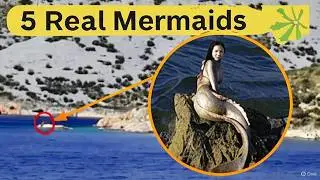5 Mysterious Mermaids Spotted in the Ocean&rdquo; 🌊🧜 | Top 5 Mermaid Sightings in Ocean
