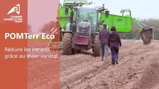 POMTerr&rsquo;Eco : r&eacute;duire les intrants gr&acirc;ce au levier vari&eacute;tal en culture de pomme de terre