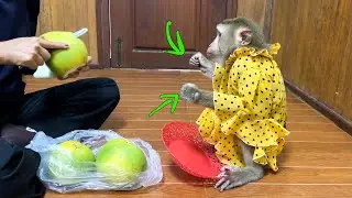 Talkative Judy Holding Her Fist Grip Tight As She Eagerly Wanna Eat The Giant Juicy Pomelo On Earth