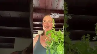 Kendra Hilty Full TikTok live 10/17/25