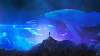 Cyprinid - Floating