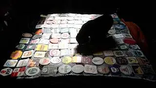 Poppy and the beer mats.