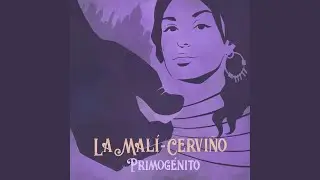 Por una Cabeza