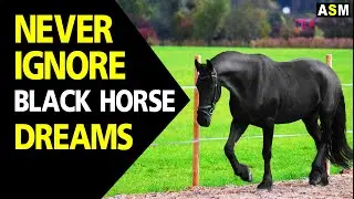 Black Horse dream meaning || Dreaming of Black Horse || Black Horse dream interpretation