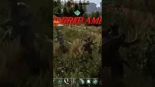 Night Crows Cheat