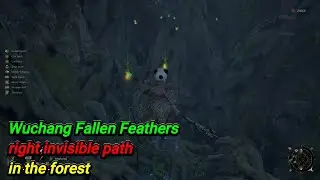 Wuchang Fallen Feathers / right invisible path / in the forest