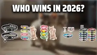 The Top 5 Best Kitten Collars in 2026 - Must Watch Before Buying!
