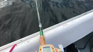 Powerful Daiwa Seaborg Electric Reel used in the fishing field New Hampshire 04/14/2018.