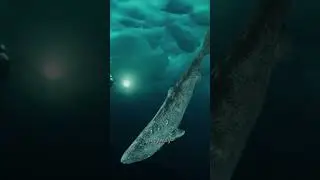 This Shark Is Older Than Countries 🦈