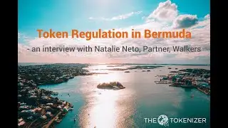 Token regulation in Bermuda