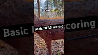 Very Quick Look at basic NFAS scoring #archery #fieldarchery #outdoors #hobby #fun