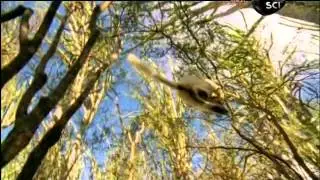A vida fora da terra - Documentario